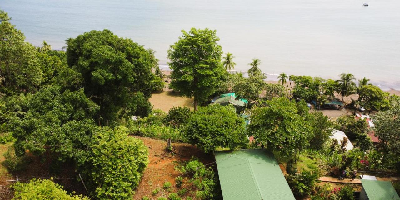Cabana Ara Macao Lodge Drakes Bay Exterior foto